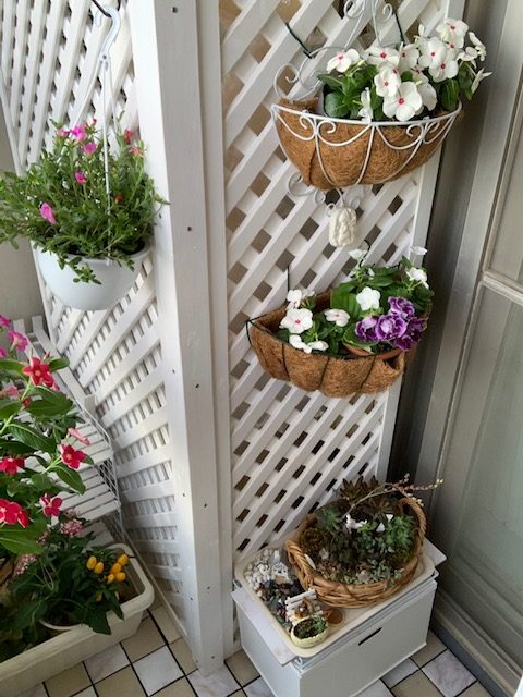 立体的な花壇に ラティスフェンス匠 Willベランダガーデン公式ブログ ベランダガーデニング 施工例日記