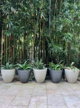信楽焼 植木鉢 黒 白