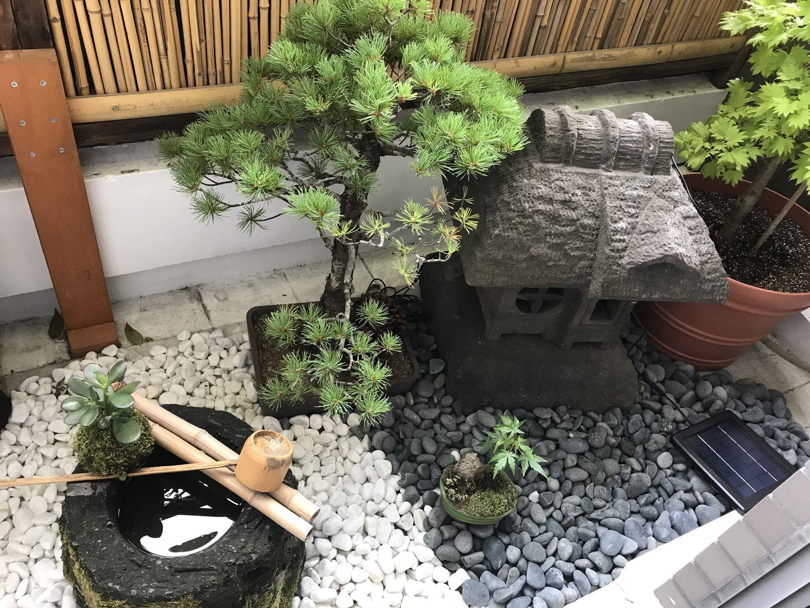 坪庭にお使いいただきました Willベランダガーデン公式ブログ ベランダガーデニング 施工例日記