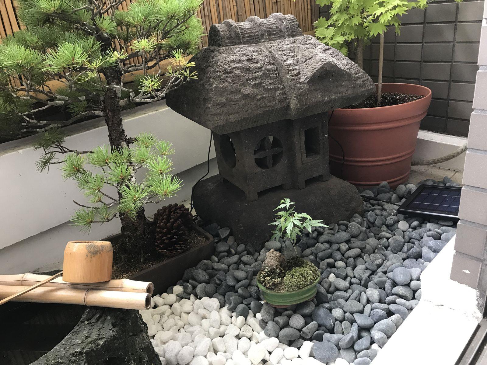 坪庭にお使いいただきました Willベランダガーデン公式ブログ ベランダガーデニング 施工例日記