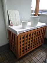 パイン色
