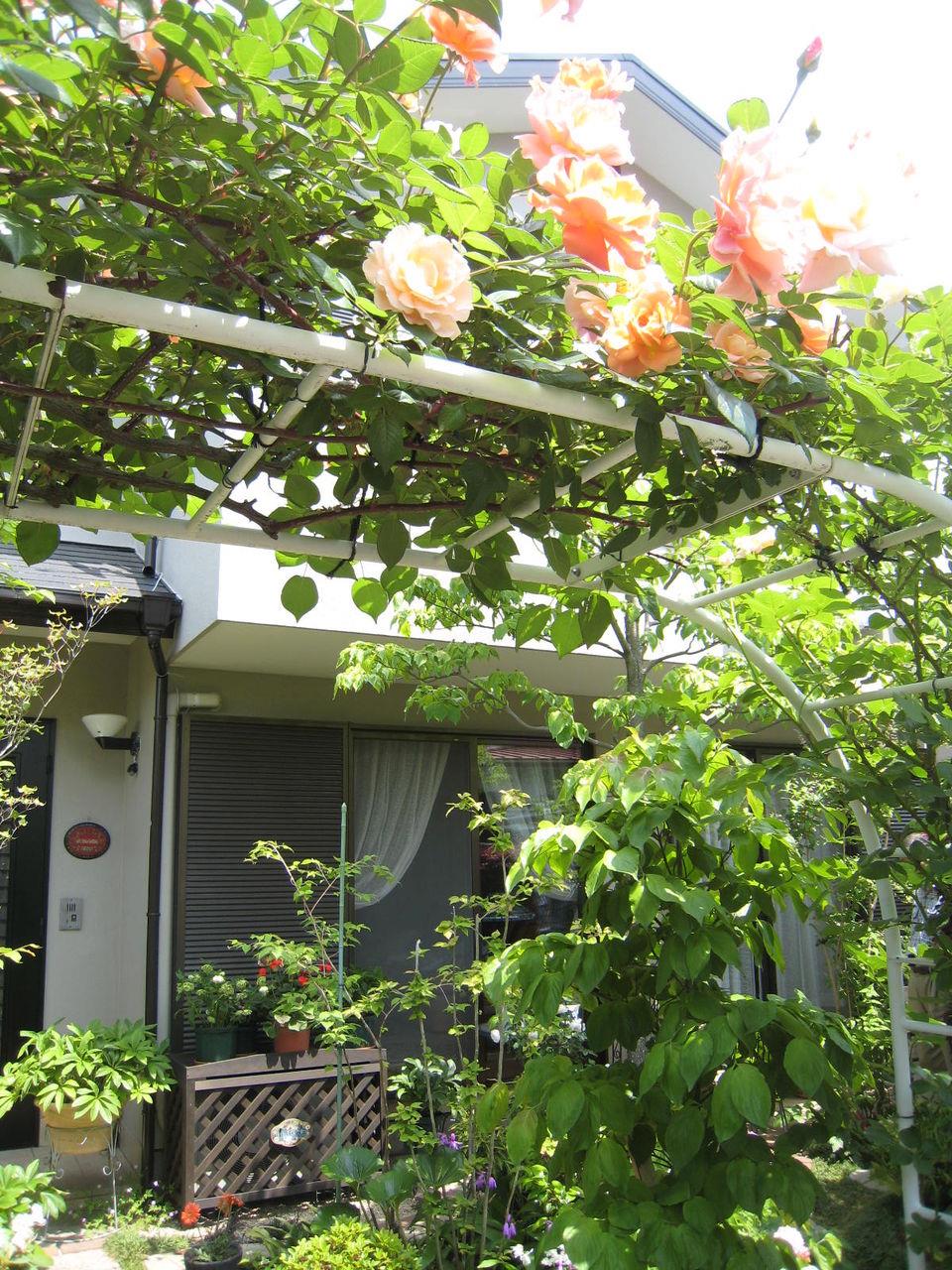 バラのある風景に Willベランダガーデン公式ブログ ベランダガーデニング 施工例日記