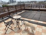 屋上の空中庭園に：ウッドデッキ匠 樹脂ジョイント付き ブラウン